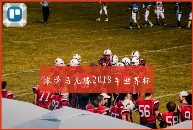 本泽马无缘2018年世界杯